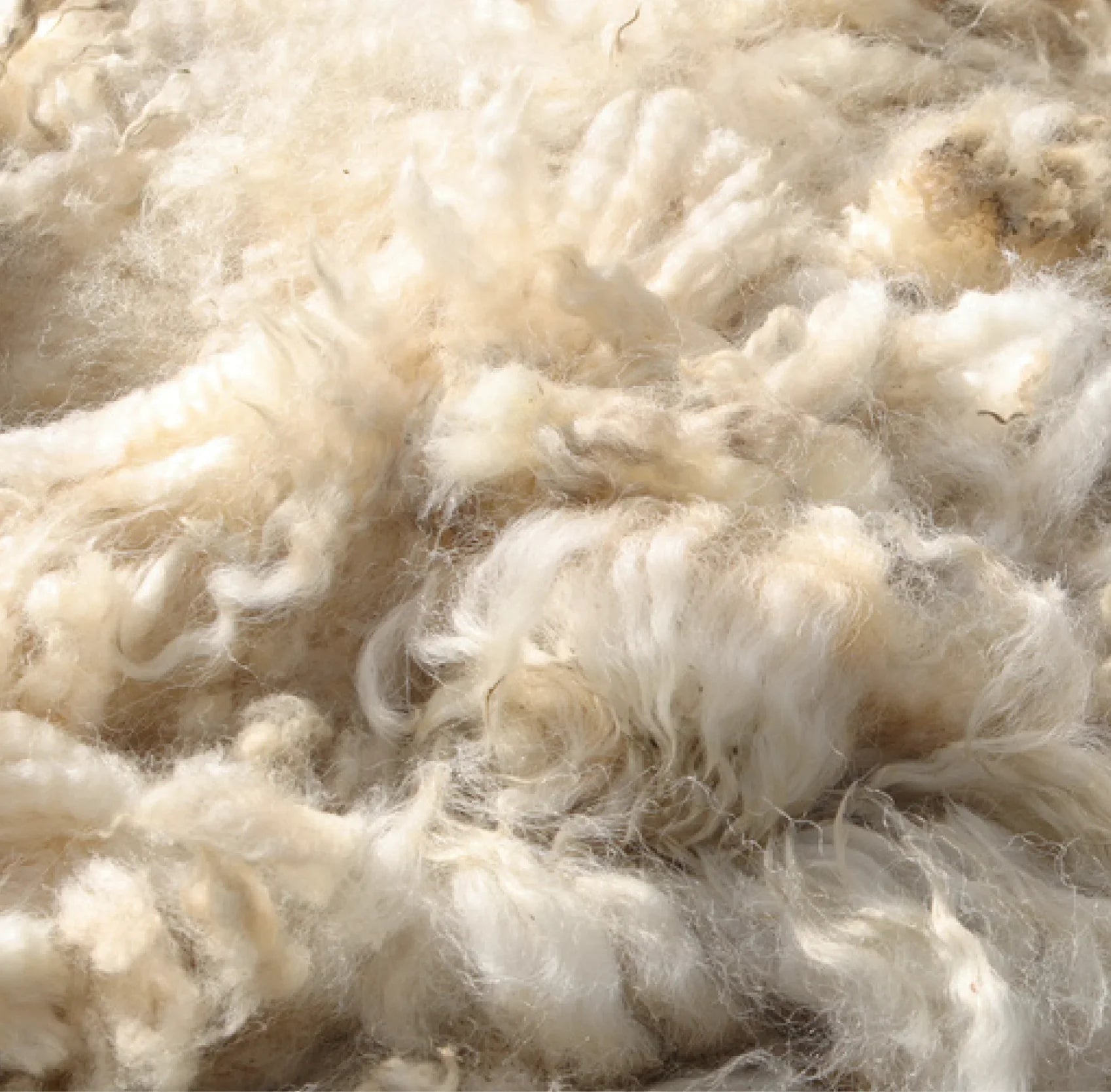 MERINO WOOL